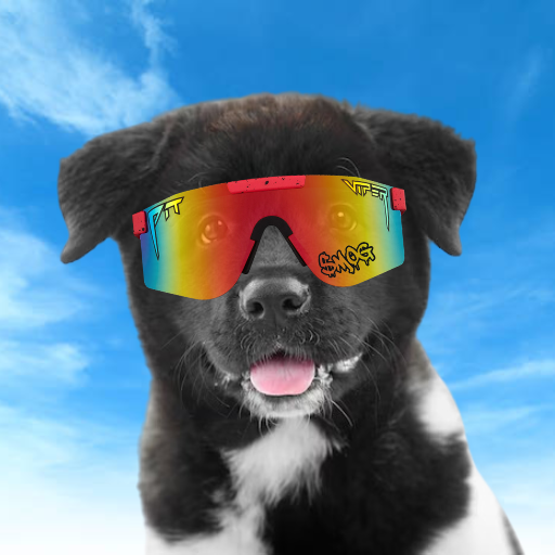 ChiChi with Pit Viper sunglasses