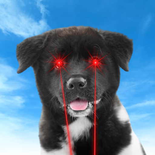 ChiChi with laser eyes